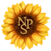 np-digitalservices.com